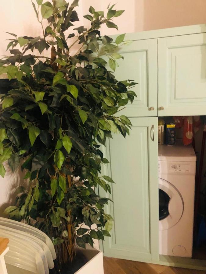 Charme Holidays Trastevere 3 روما المظهر الخارجي الصورة